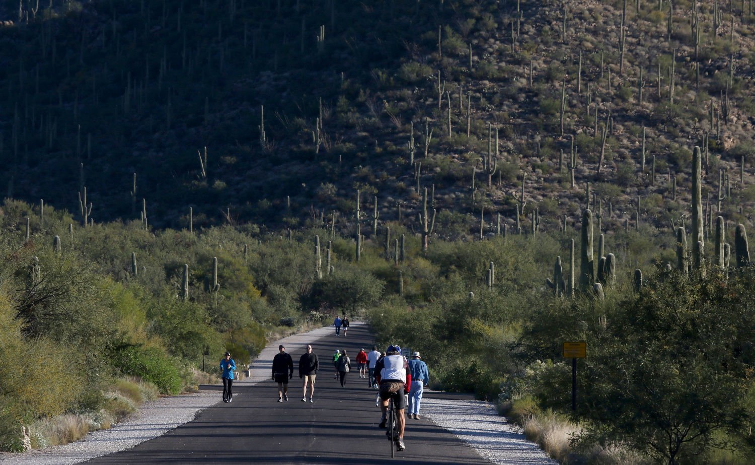 Hiking Sabino